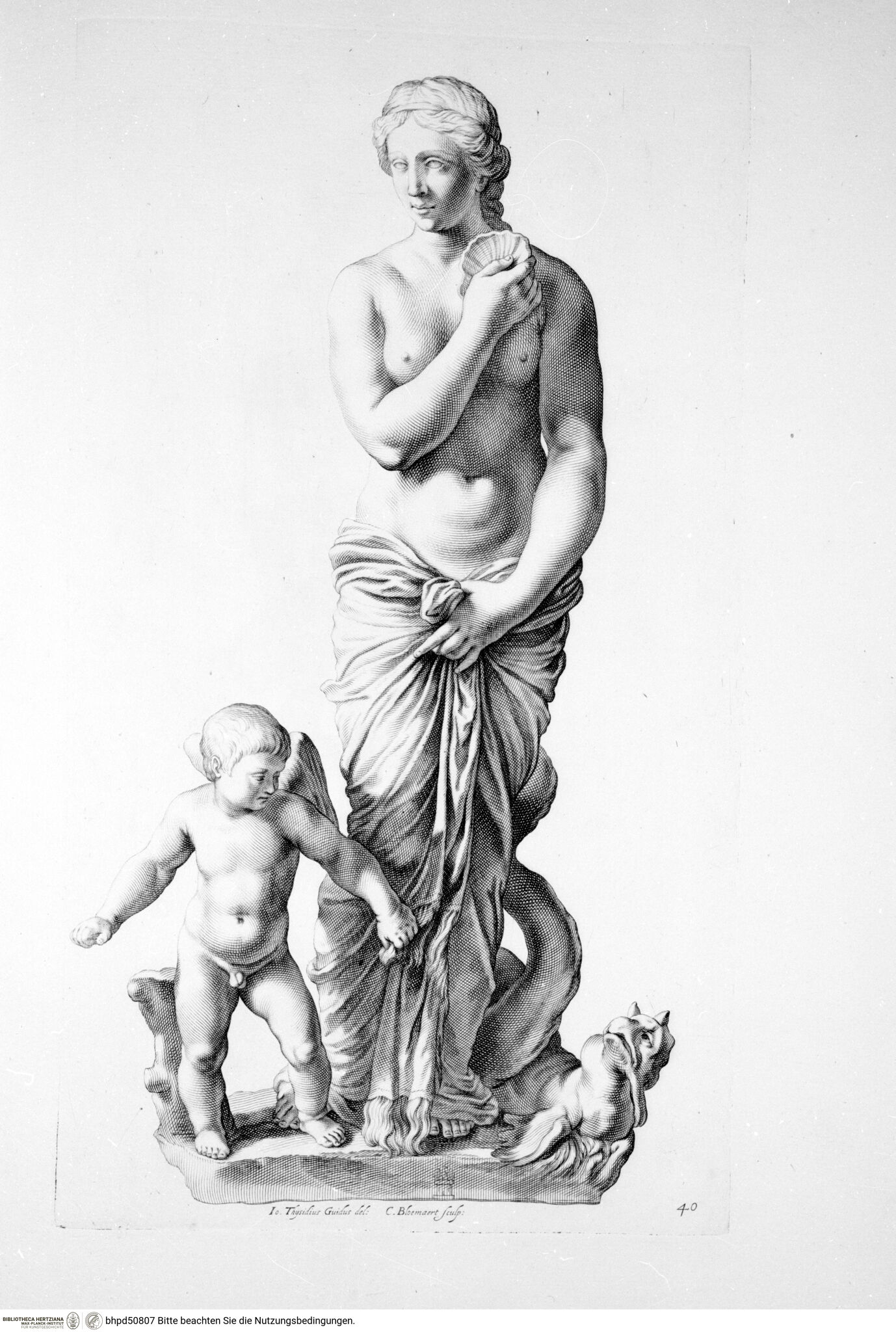 Galleria Giustiniana del marchese Vincenzo Giustiniani. 2 Bände., 1. Band, Tafel 40: Venere con Amorino conchiglia e mostro (nach der Antike)