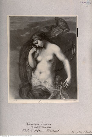 Vorderseite von  [http://creativecommons.org/publicdomain/mark/1.0/] Andromeda - , bh001052. Foto.