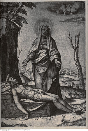Vorderseite von Braun, Adolphe [https://www.deutsche-digitale-bibliothek.de/content/lizenzen/rv-ez/] Maria beweint den Leichnam Christi ("Pietà dell`albero") - , bh001154. Foto.
