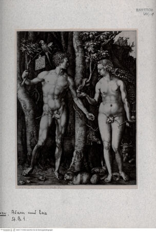 Vorderseite von  [https://www.deutsche-digitale-bibliothek.de/content/lizenzen/rv-fz/] Adam und Eva - , bh001176. Foto.