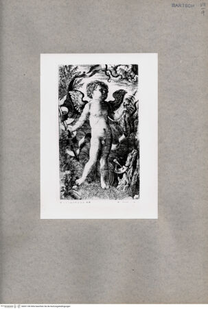 Vorderseite von  [http://creativecommons.org/publicdomain/mark/1.0/] Putto - , bh001180. Foto.