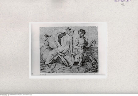 Vorderseite von  [http://creativecommons.org/publicdomain/mark/1.0/] Triton und Nereide - , bh001218. Foto.