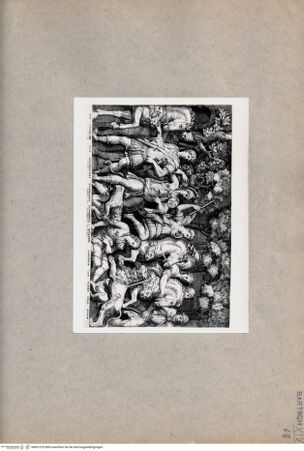 Vorderseite von  [http://creativecommons.org/publicdomain/mark/1.0/] Jagd - , bh001229. Foto.