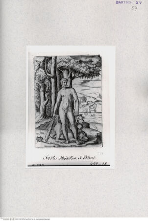 Vorderseite von  [http://creativecommons.org/publicdomain/mark/1.0/] Herkules - , bh001245. Foto.