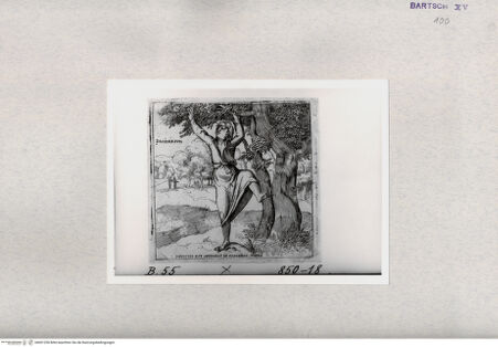 Vorderseite von  [http://creativecommons.org/publicdomain/mark/1.0/] "Desiderium" - , bh001250. Foto.