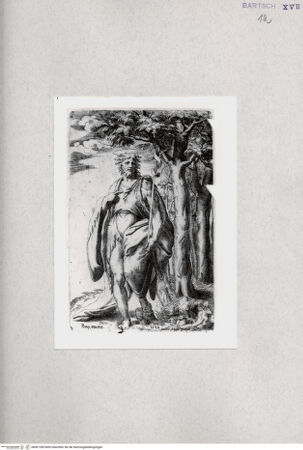 Vorderseite von  [http://creativecommons.org/publicdomain/mark/1.0/] Heiliger Johannes der Täufer - , bh001285. Foto.