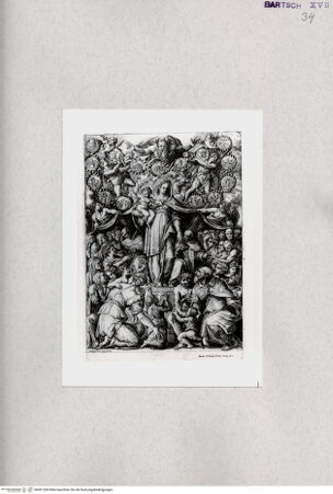 Vorderseite von  [http://creativecommons.org/publicdomain/mark/1.0/] Rosenkranzmadonna - , bh001289. Foto.