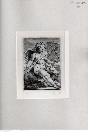 Vorderseite von  [http://creativecommons.org/publicdomain/mark/1.0/] Putte - , bh001294. Foto.