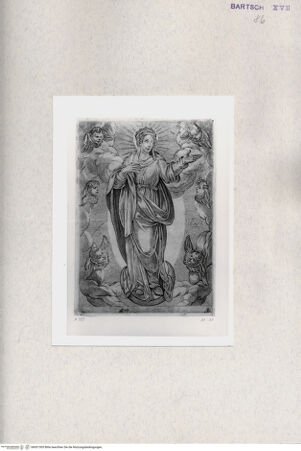 Vorderseite von  [http://creativecommons.org/publicdomain/mark/1.0/] Jungfrau Maria - , bh001305. Foto.