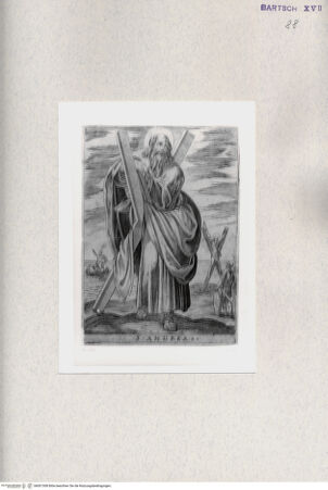 Vorderseite von  [http://creativecommons.org/publicdomain/mark/1.0/] Heiliger Andreas - , bh001308. Foto.