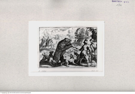 Vorderseite von  [http://creativecommons.org/publicdomain/mark/1.0/] Jagd - , bh001326. Foto.