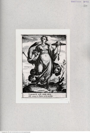 Vorderseite von  [http://creativecommons.org/publicdomain/mark/1.0/] "Libertas" - , bh001334. Foto.