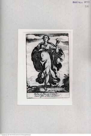 Vorderseite von  [http://creativecommons.org/publicdomain/mark/1.0/] "Sinceritas" - , bh001335. Foto.