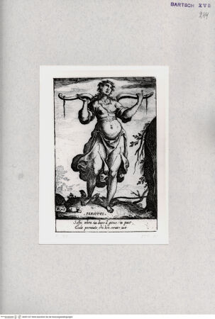 Vorderseite von  [http://creativecommons.org/publicdomain/mark/1.0/] "Servitus" - , bh001337. Foto.