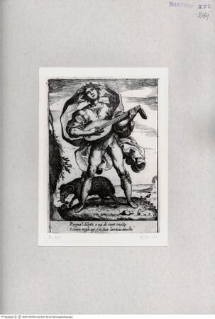 Vorderseite von  [http://creativecommons.org/publicdomain/mark/1.0/] "Vir Sanguineus" - , bh001338. Foto.