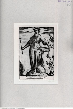 Vorderseite von  [http://creativecommons.org/publicdomain/mark/1.0/] "Meritum" - , bh001339. Foto.