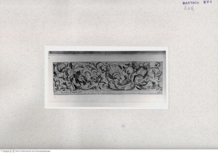 Vorderseite von  [http://creativecommons.org/publicdomain/mark/1.0/] Groteske - , bh001374. Foto.