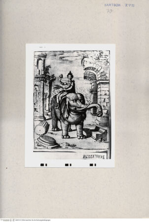 Vorderseite von  [http://creativecommons.org/publicdomain/mark/1.0/] Erotilla - , bh001412. Foto.