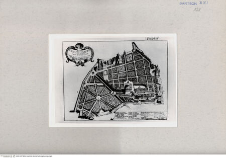 Vorderseite von  [http://creativecommons.org/publicdomain/mark/1.0/] Gärten von Rom - , bh001457. Foto.