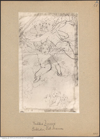 Vorderseite von bh002215_recto