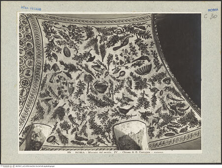 Vorderseite von Alinari [https://www.deutsche-digitale-bibliothek.de/content/lizenzen/rv-ez/] Mosaik mit Pflanzen, Vögeln und weiteren Motiven - Gesamtaufnahme, bh005521_recto. Foto.