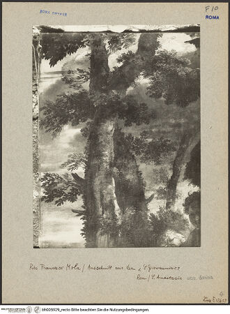 Vorderseite von ICCD [https://www.deutsche-digitale-bibliothek.de/content/lizenzen/rv-ez/] Der Johannesknabe mit dem Lamm - Detail, oben links: Baum, bh005929_recto. Foto.