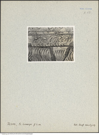 Vorderseite von bh006583_recto