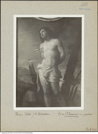 Vorderseite von bh006591_recto