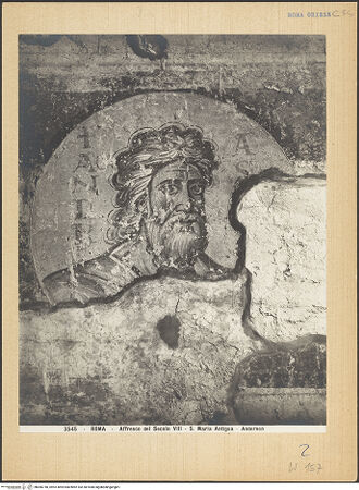 Vorderseite von Alinari [https://www.deutsche-digitale-bibliothek.de/content/lizenzen/rv-ez/] Apostelbildnisse - Detail: Apostelkopf, bh006740_recto. Foto.