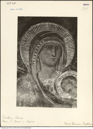 Vorderseite von bh006761_recto