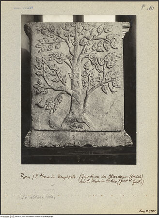 Vorderseite von bh006785_recto