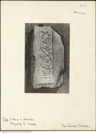 Vorderseite von bh006842_recto