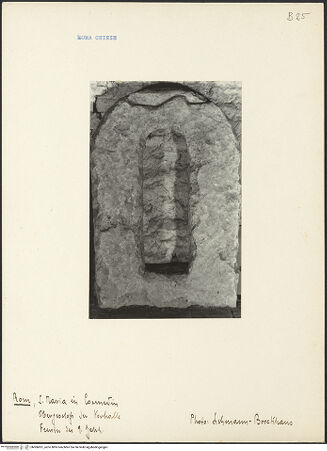 Vorderseite von bh006851_recto