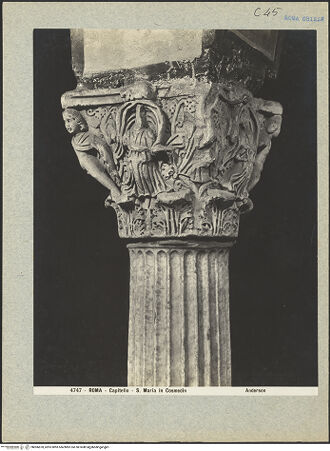 Vorderseite von bh006878_recto