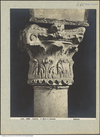 Vorderseite von bh006879_recto