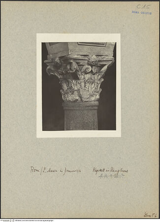 Vorderseite von bh006890_recto