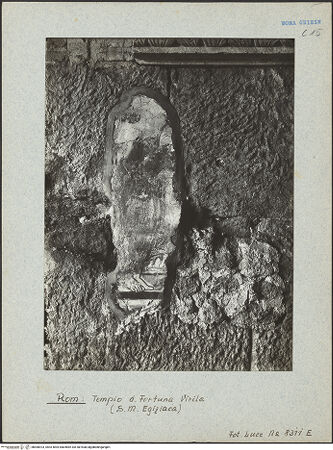 Vorderseite von bh006923_recto