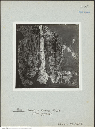 Vorderseite von bh006924_recto