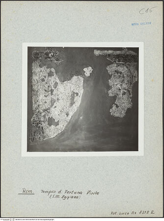 Vorderseite von bh006925_recto