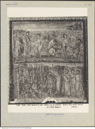 Vorderseite von bh007057_recto