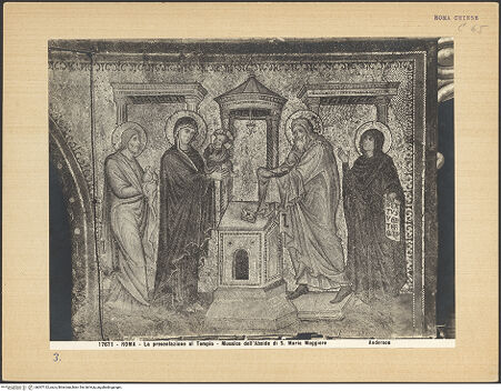 Vorderseite von bh007132_recto