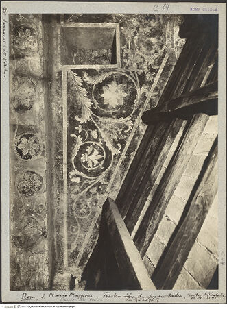 Vorderseite von bh007164_recto