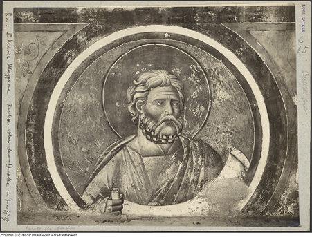 Vorderseite von bh007167_recto