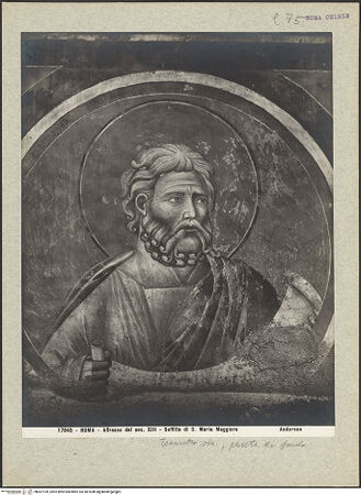 Vorderseite von bh007169_recto