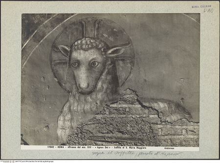 Vorderseite von bh007187_recto