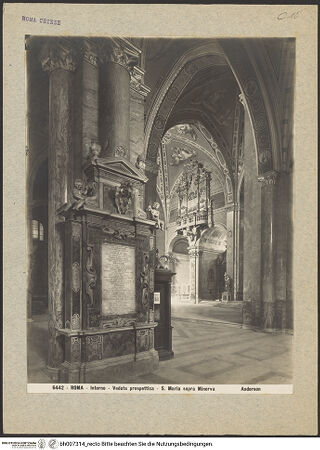 Vorderseite von bh007314_recto