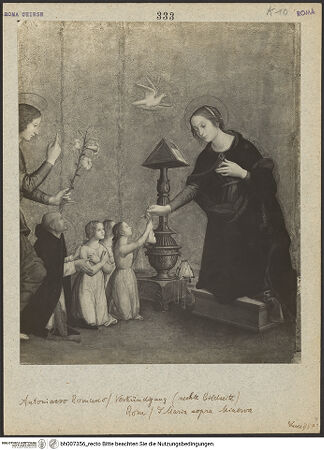 Vorderseite von bh007356_recto