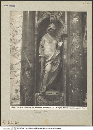 Vorderseite von bh007361_recto