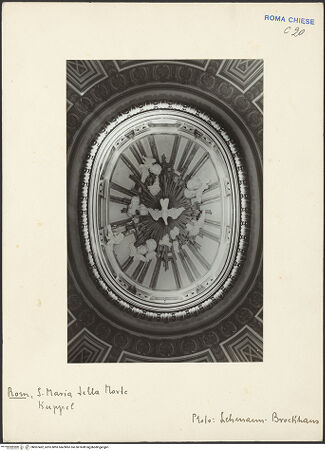 Vorderseite von bh007462_recto