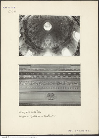 Vorderseite von bh007498_bh007499_recto